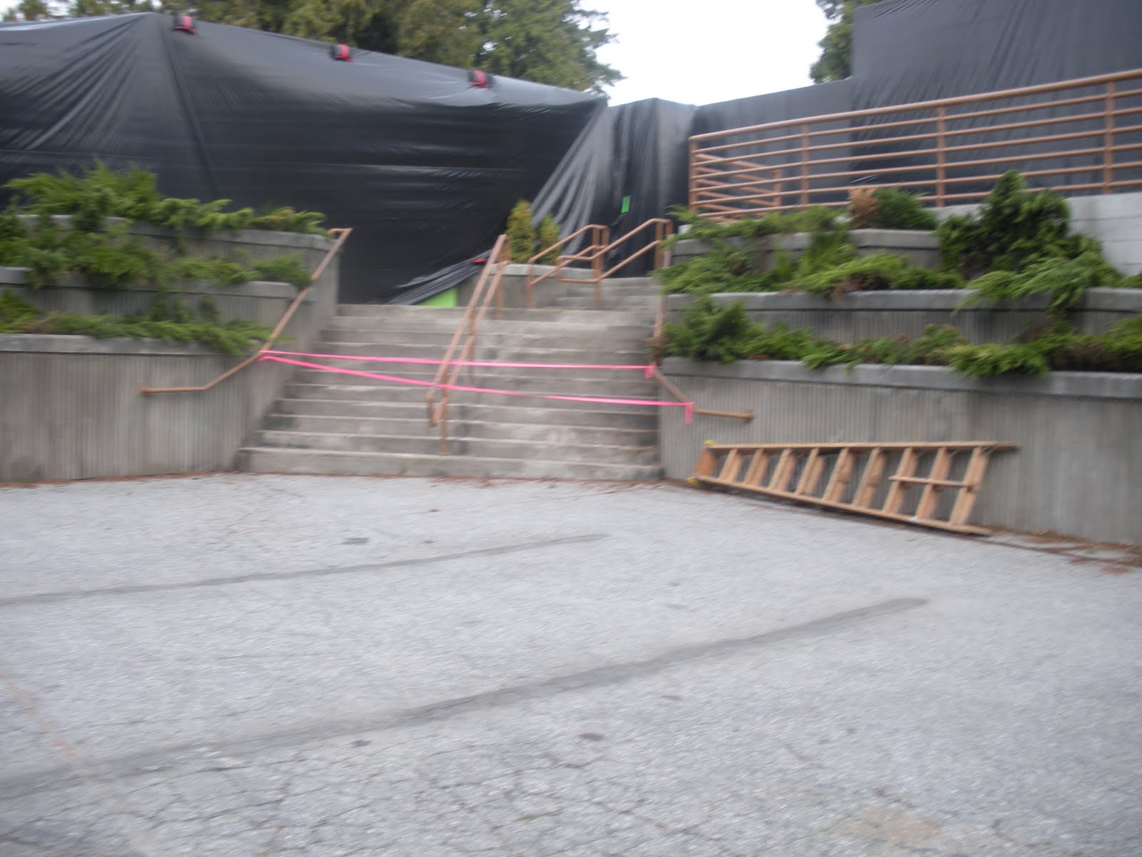 [DSCN2075.jpg]
