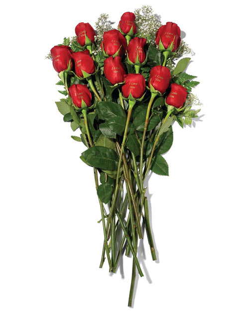 Valentines Day Rose E-cards. Valentines Day Rose E-cards.