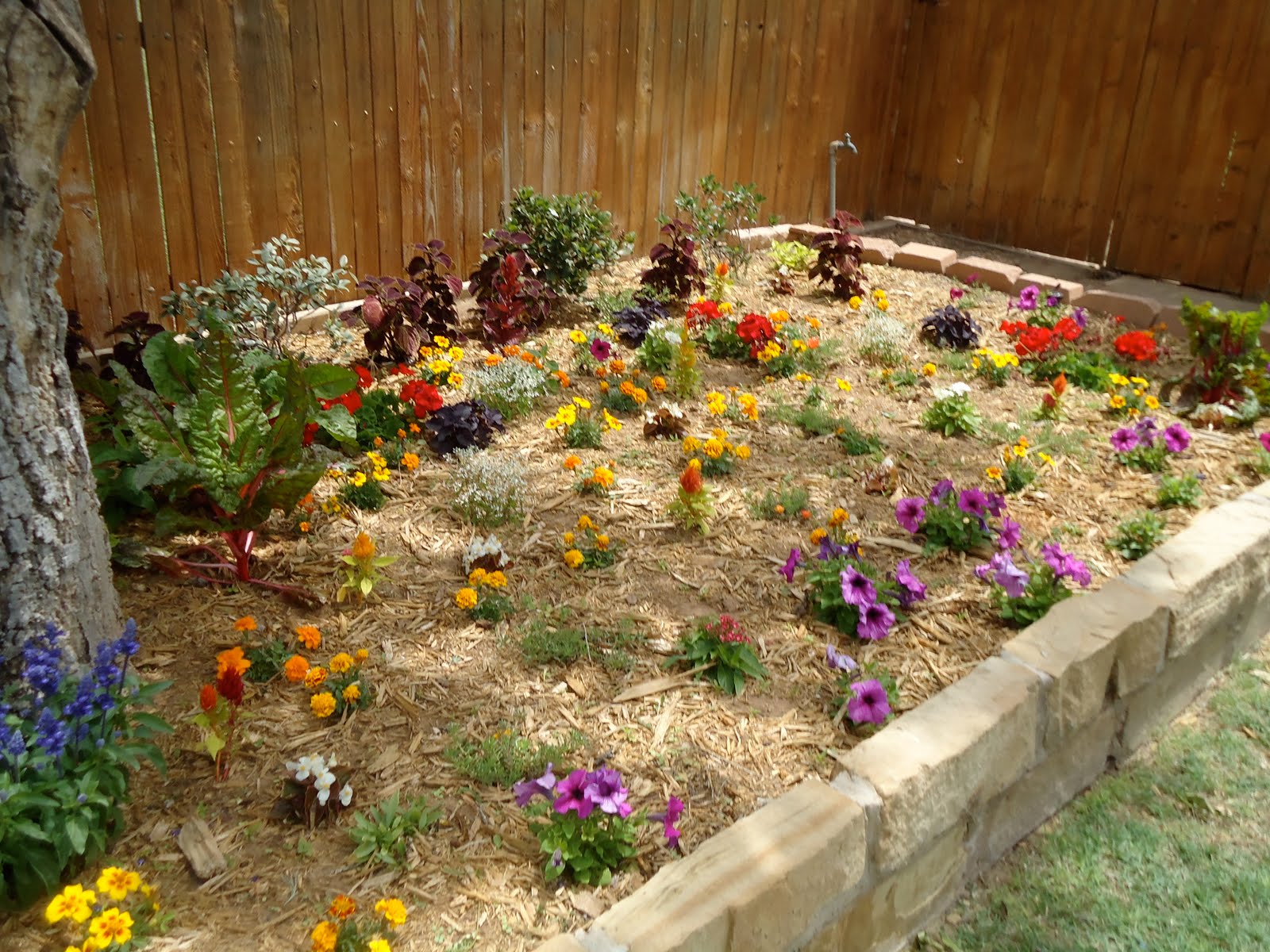 CC DESIGNS: Front Yard Flowerbed