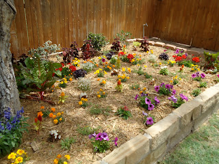 CC DESIGNS: Front Yard Flowerbed