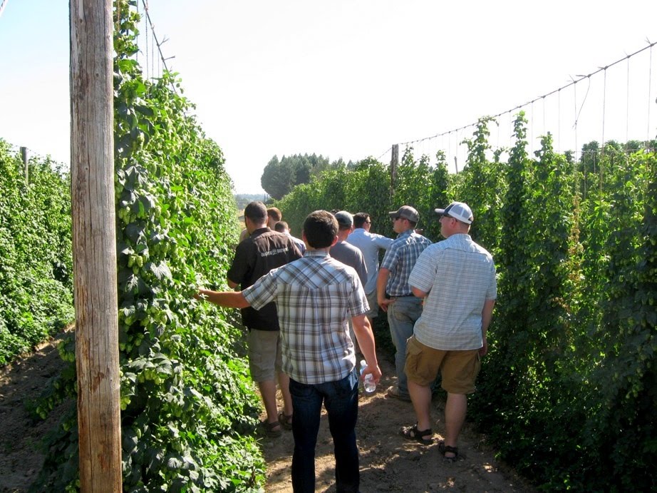 Hop Trellis Ideas Part - 48: Nutrients Are Preserved When They Can Run Down Into The Root System--making Plants Hardier And Healthier.