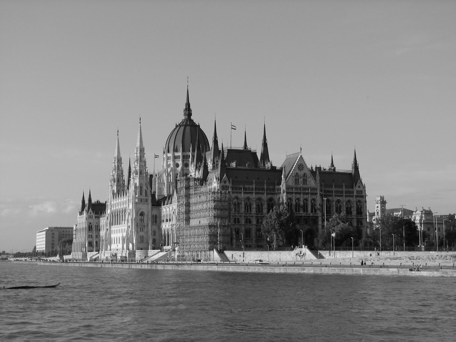 [IMG_0606.JPG]