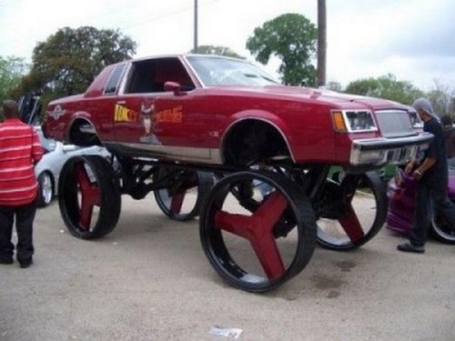 Top Funniest Pictures