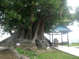 Makam I Mayambungi (Todilaling)