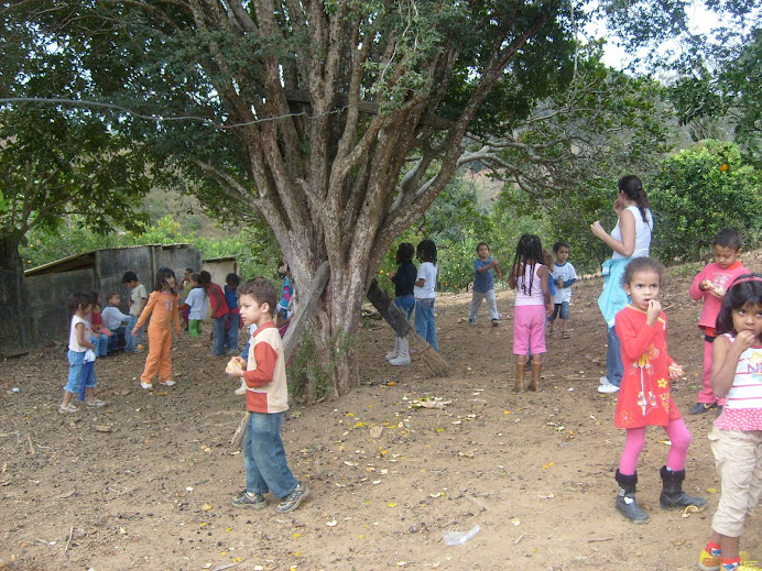 Passeio ecológico.