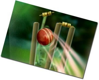 T20 Cricket in USA T20 Cricket in USA