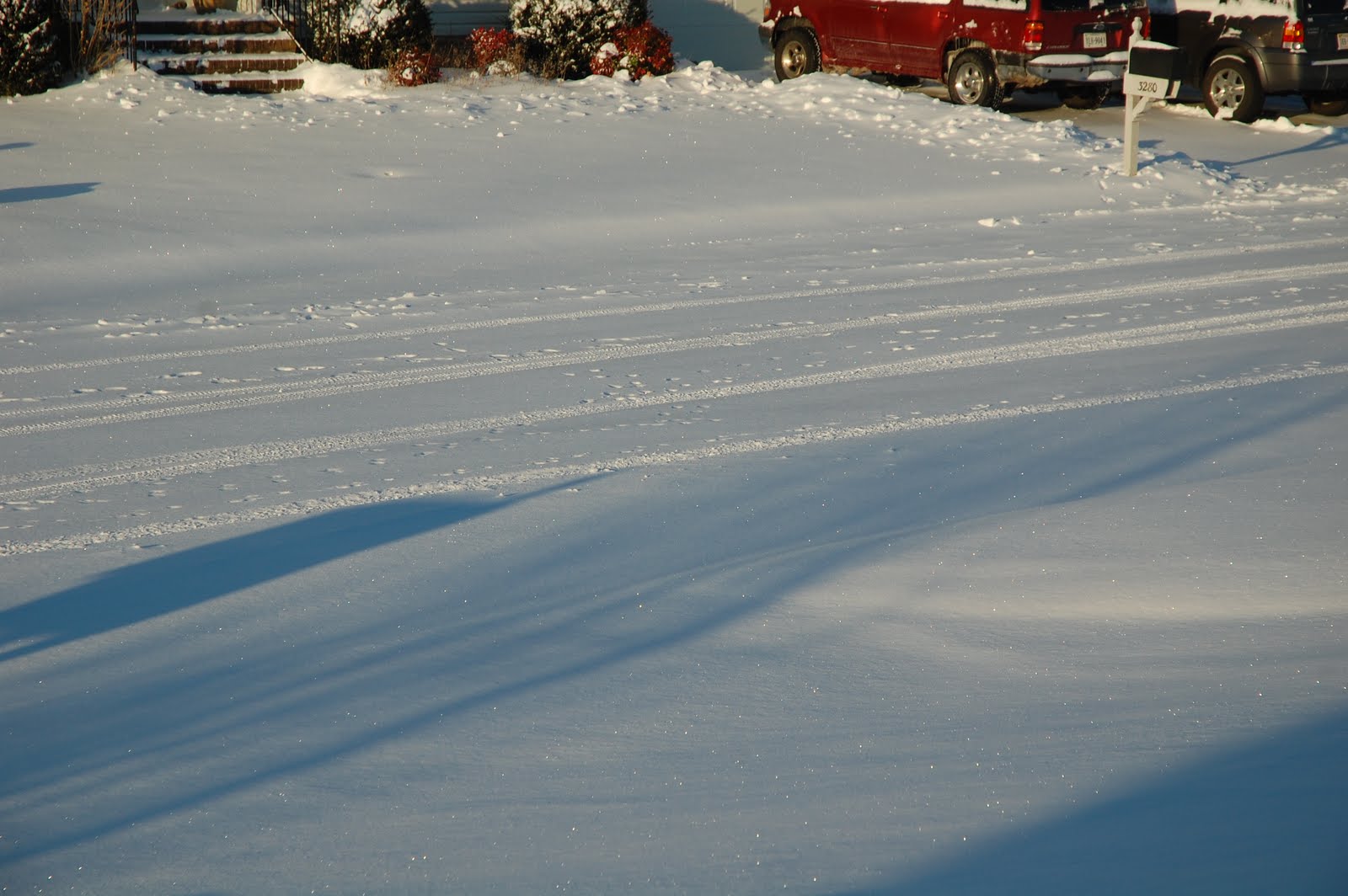 [DSC_0010.JPG]
