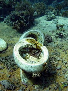 surface interval january 2010