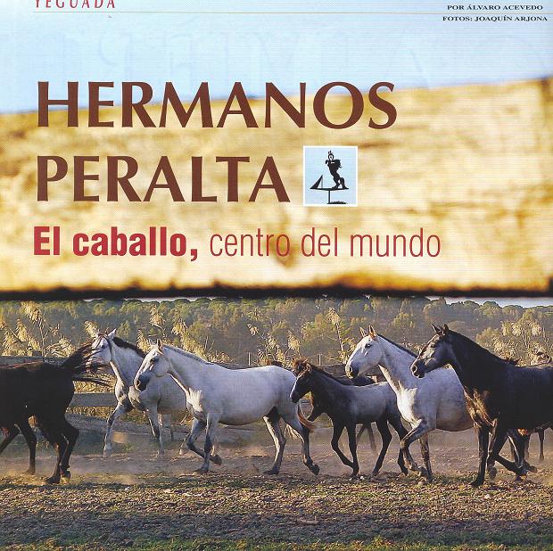 [YeguadaPeralta6toros6.JPG]
