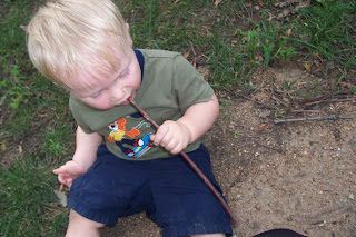 toddler with a twig in his mouth
