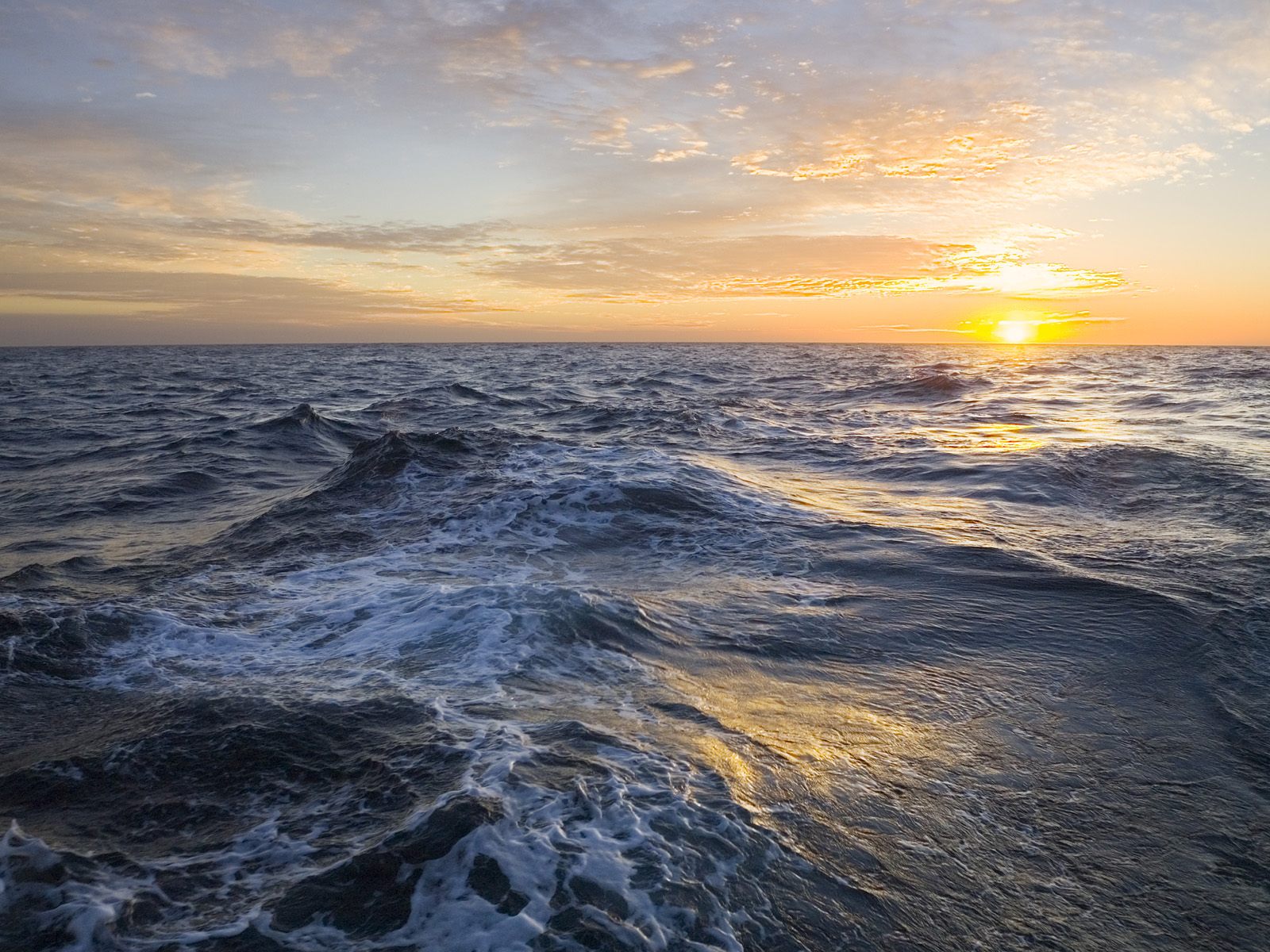 [Golden+Sunrise+Over+the+Atlantic+Ocean,+Falkland+Islands.jpg]
