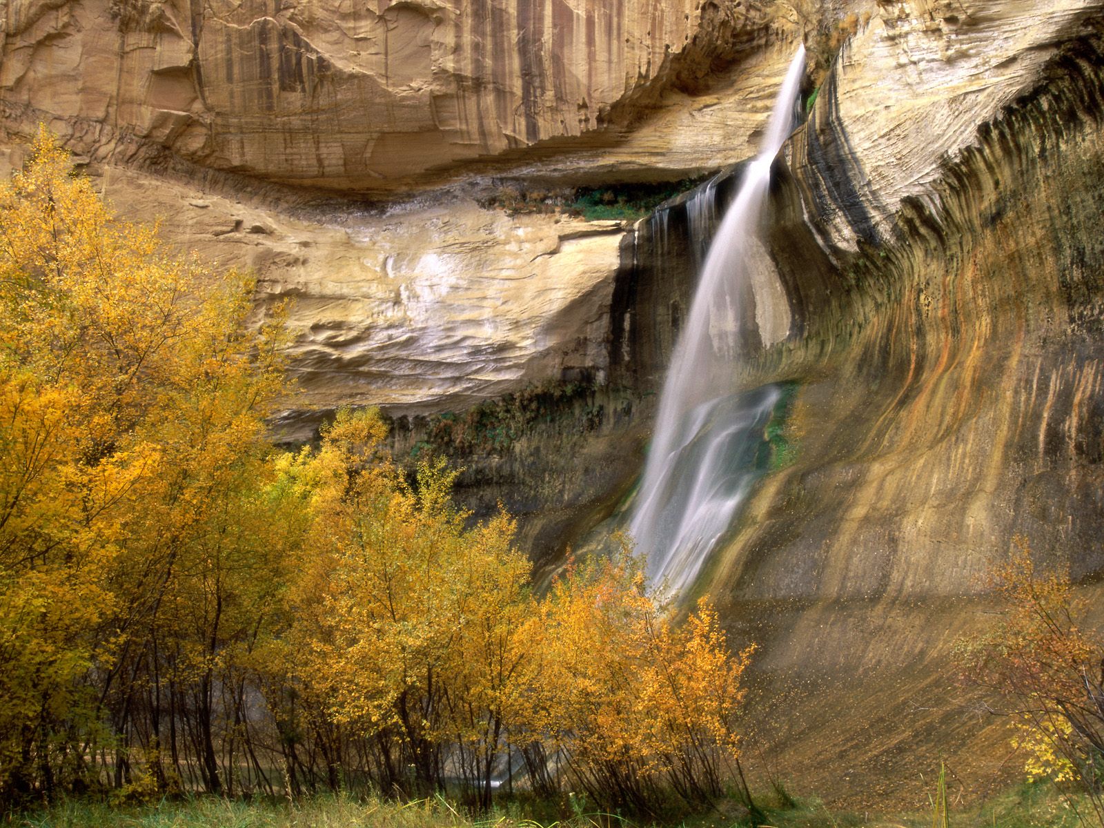 [Calf+Creek+Falls,+Grand+Staircase-Escalante+Nati.jpg]