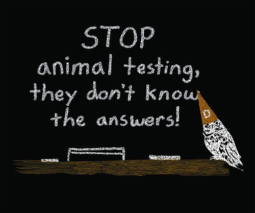 Read more about animal testing here and about alternatives to animal testing 