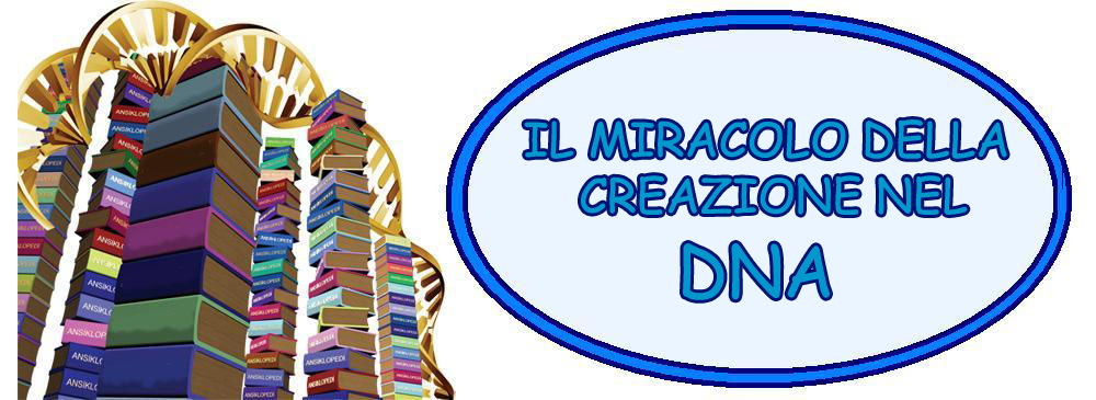 IL MIRACOLO DELLA CREAZIONE NEL DNA