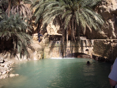 11-Oasis-of-Chebika.jpg