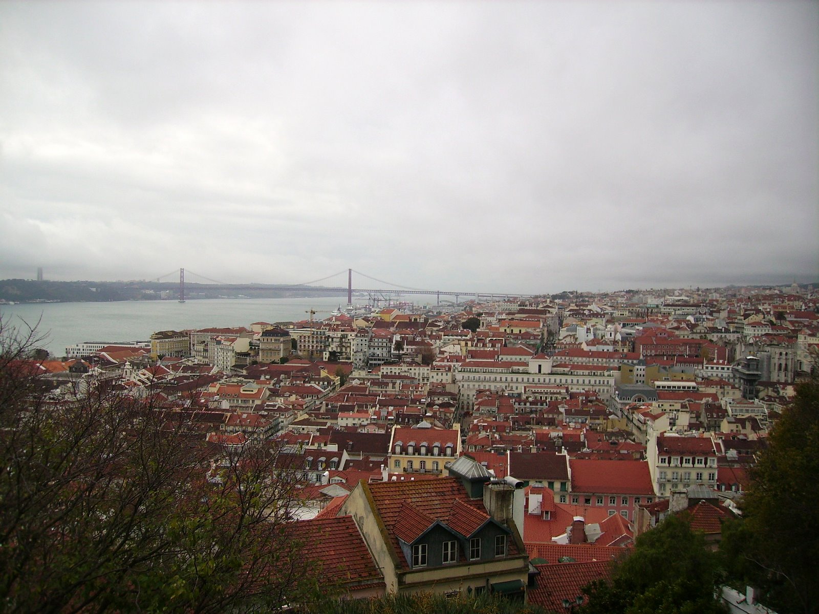 [PICT0456.JPG]