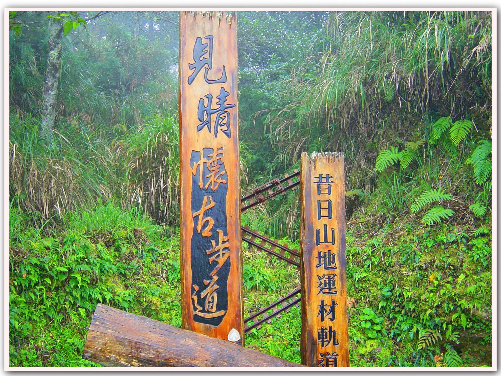 [DSC00198.jpg]