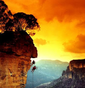 Meteor Shower Australia Australia Tour Rainforest