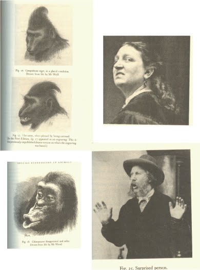 [Descent+of+Man+expressions.bmp]