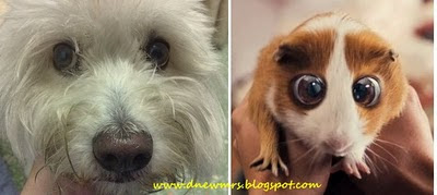 Bedtime Stories Bugsy