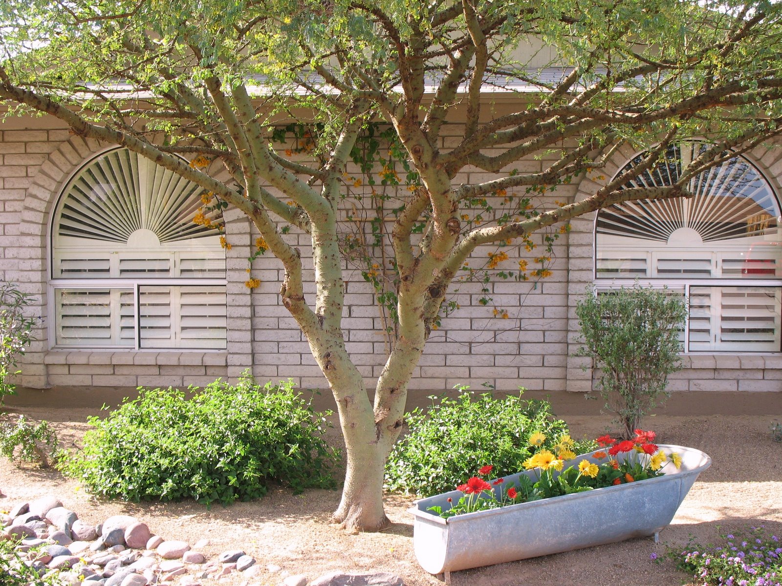 [another+house+from+street.JPG]