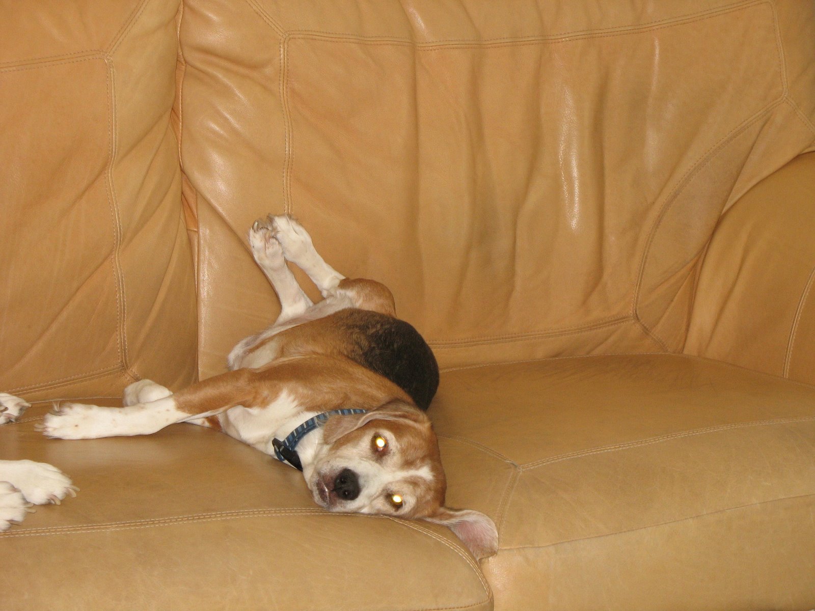 [strike+a+pose+bo!.JPG]