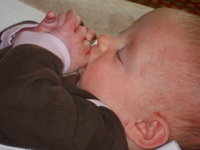 [WINTER+2009+(dec.)+066.JPG]