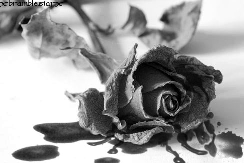 Death Death