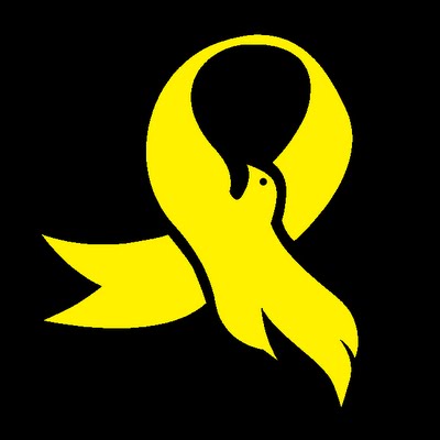 Noynoy For President!