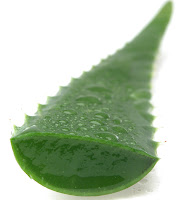 http://4.bp.blogspot.com/_XesHb8qITDA/TCrLekFFpcI/AAAAAAAAAFE/RRDIbYpTZJI/s1600/aloe_cross_cutpg.jpg