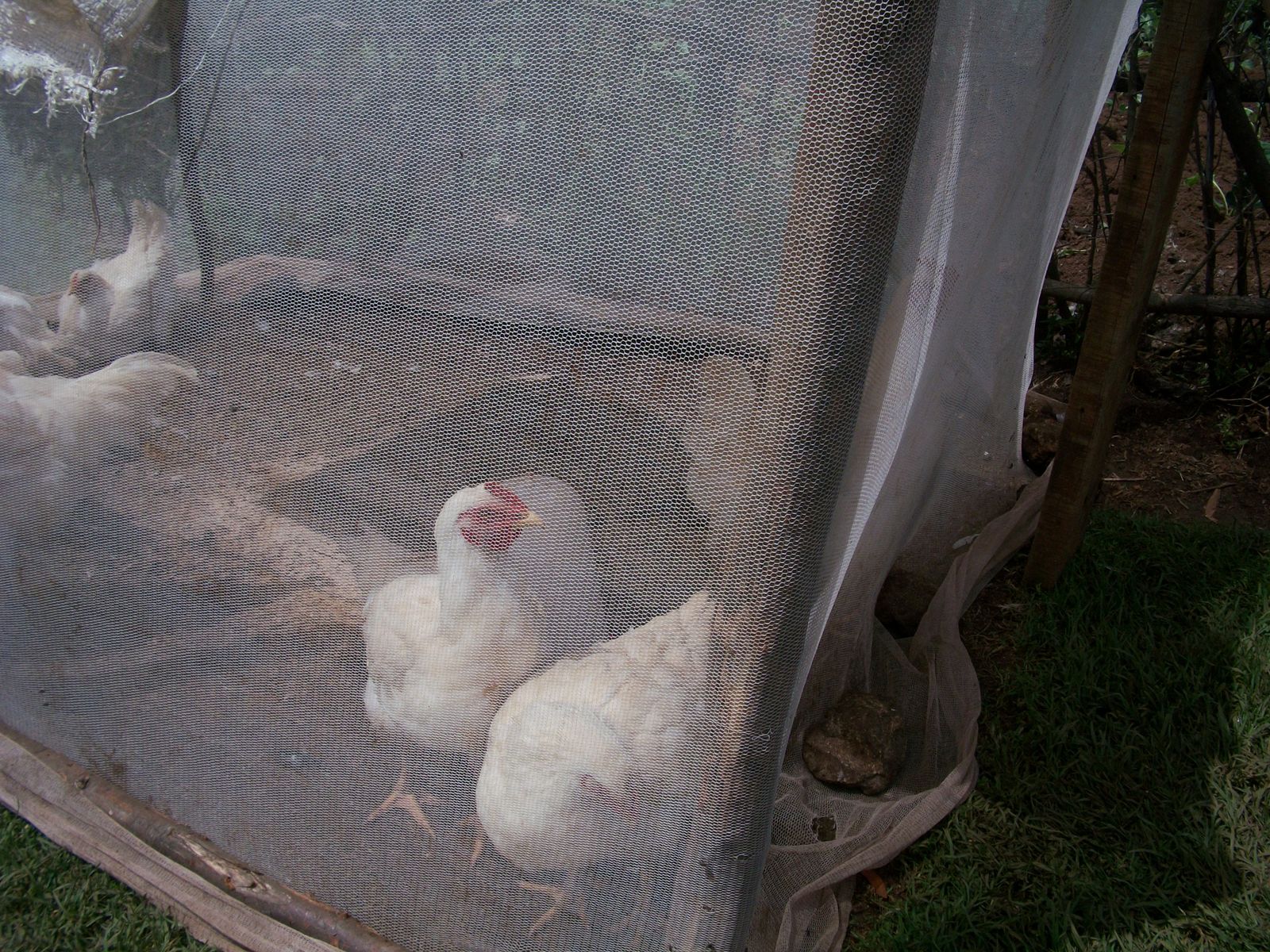 Dream, Innovate, Share