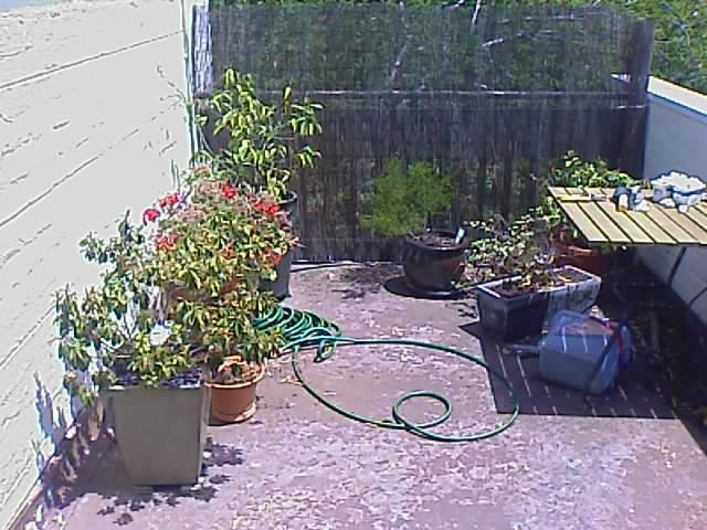 [IMAGE_037-743835.jpg]