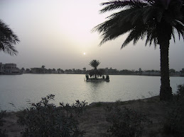 Water and Palms