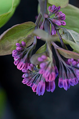 Click on photo to see a larger version