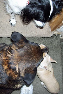 Getting to know one another.