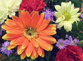 Close-up of a pretty bouquet of spring flowers includes daisies.
