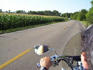 Fields of corn near ready for harvest.