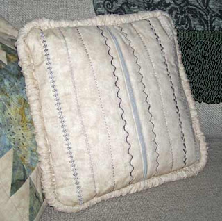 Home Dec Pillow #2 back view with zipper