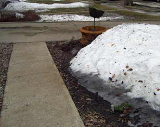 Evidence of snow melting