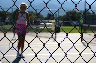 Does this count for another artistic shot? Or just a bad photo? Drat that fence!
