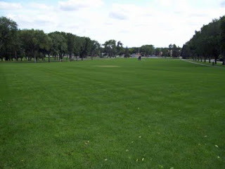 An expansive view of the Capiol Lawn