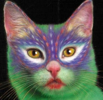 Gato colorido