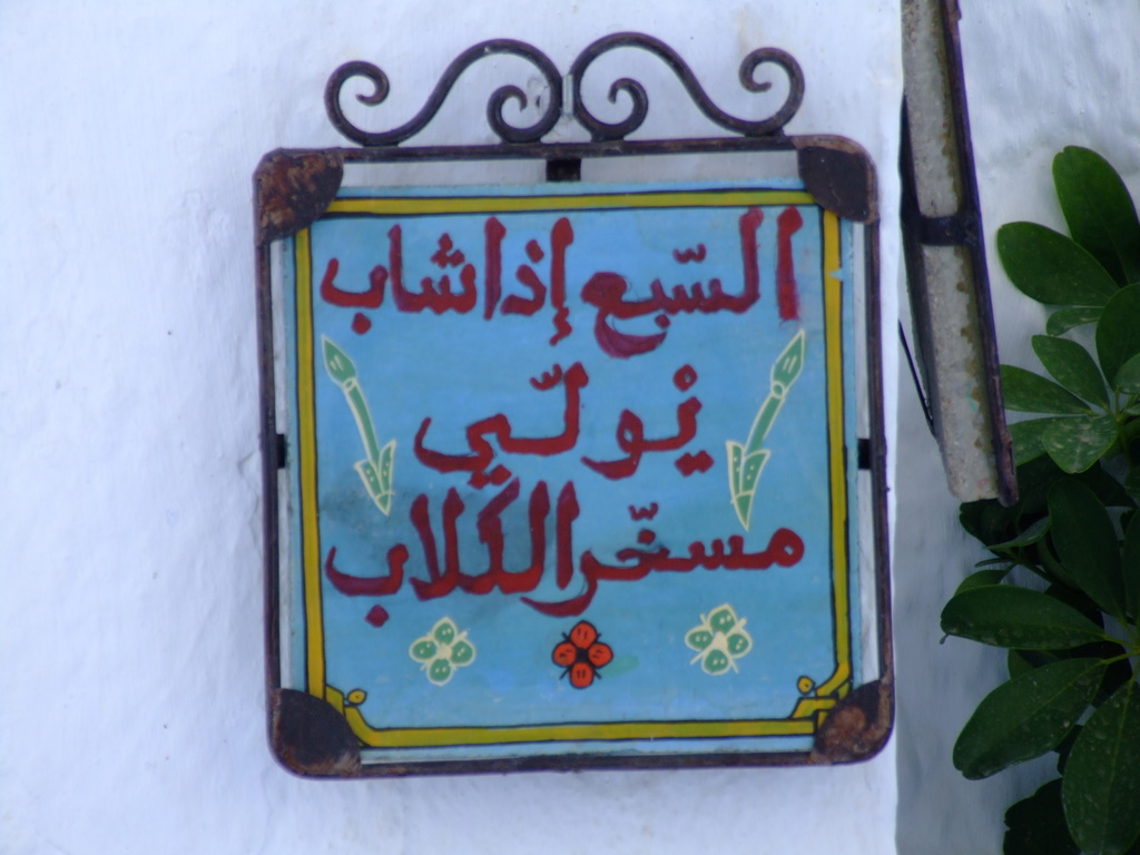 [DSCF3502.JPG]