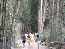 Domingo de manhã