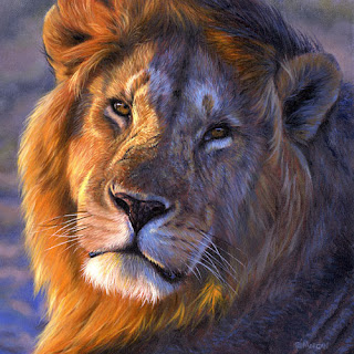 african-lion-final.jpg