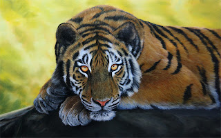 tiger-paintings.jpg