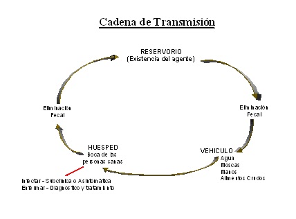 cadena epidemiologica fiebre tifoidea epidemiologia escobar enfermedades transmitidas por el cadena epidemiologica fiebre tifoidea epidemiologia escobar enfermedades transmitidas por el