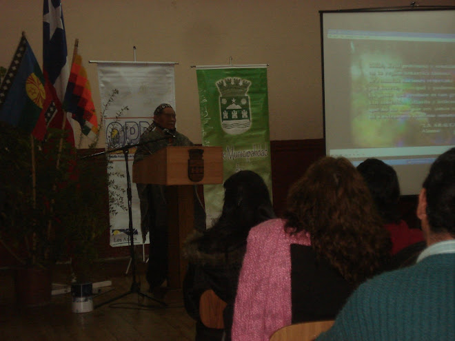 TALLER DE FOTALECIMIENTO DE LA IDENTIDAD MAPUCHE