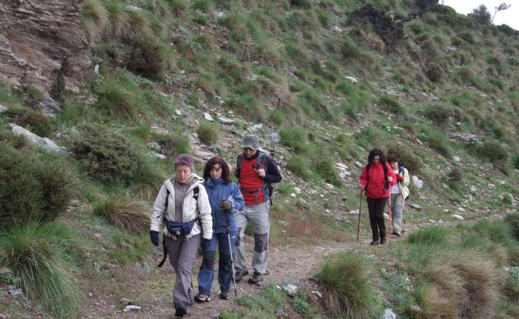 ¿Por dónde va la verea?: ALBERGUE DE SAN FRANCISCO