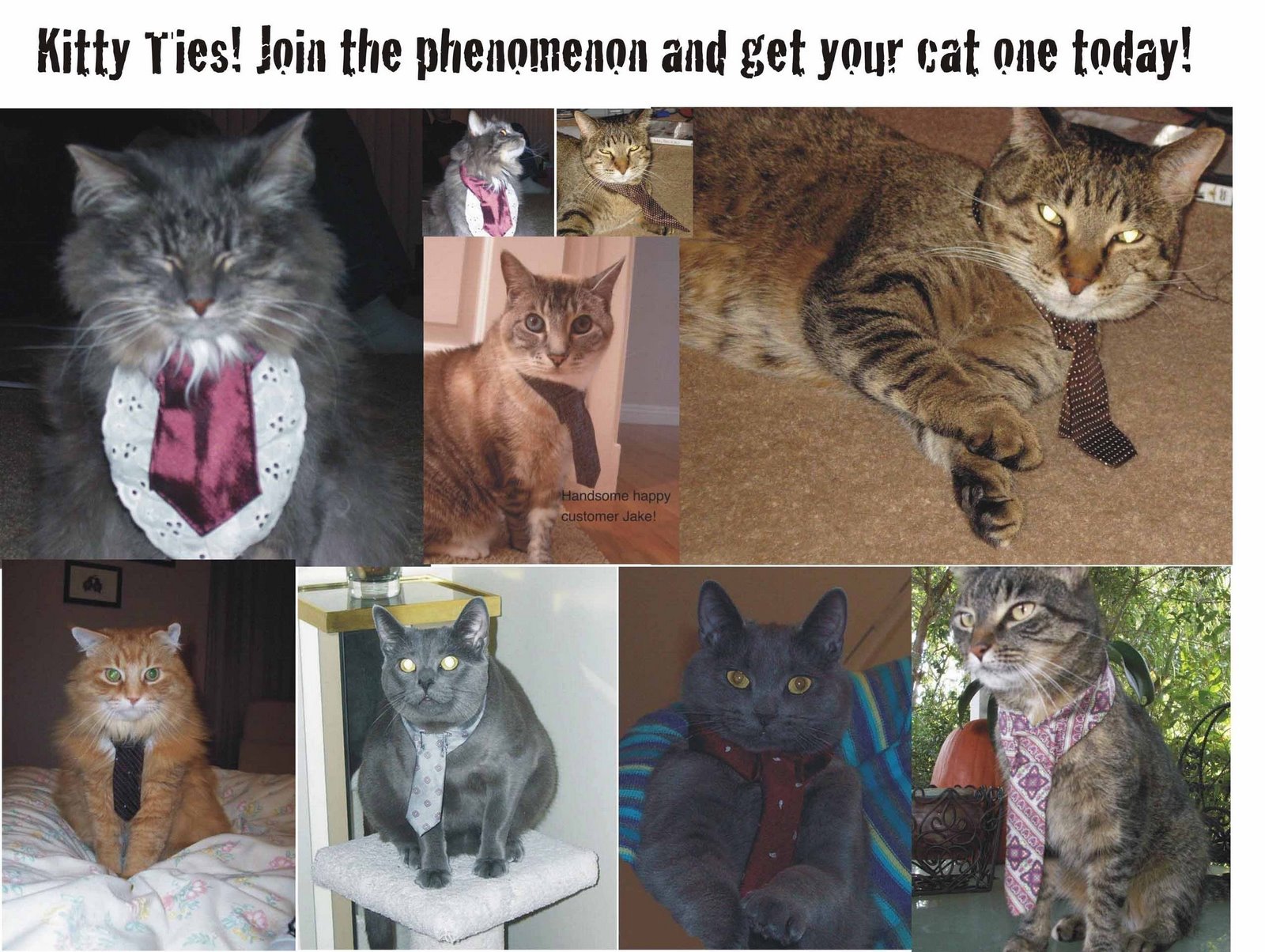 [cat+tie+montage.jpg]